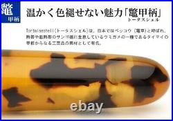 Acetate Fountain Pen Onishi Seisakusho Swarovski Hand Made