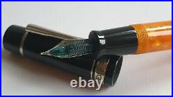 Dolcevita Federico Fountain Pen MINT Two resin barrels boxed + papers Italy